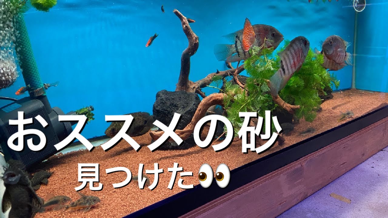 砂を敷くならこれがおススメ！全ての水槽にオススメの床砂「クリスタルクオーツ」