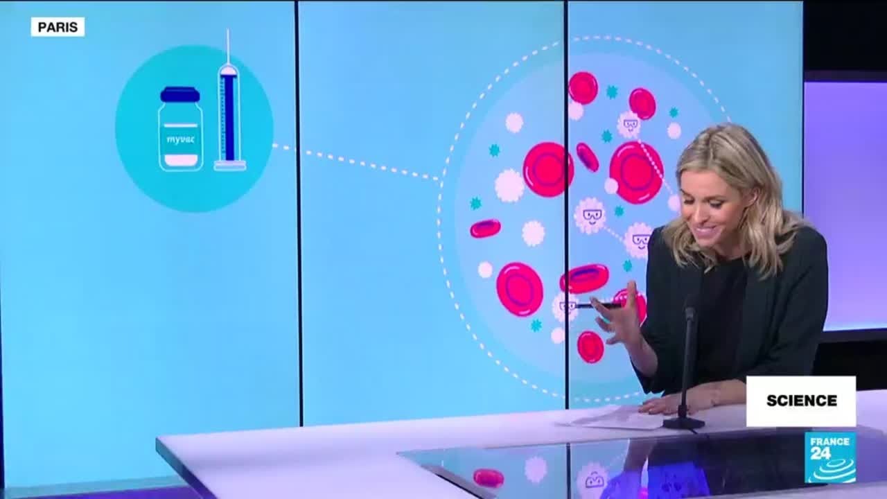 Individualized immunotherapy: New vaccines could help treat head and ovarian cancer &bull; FRANCE 24
