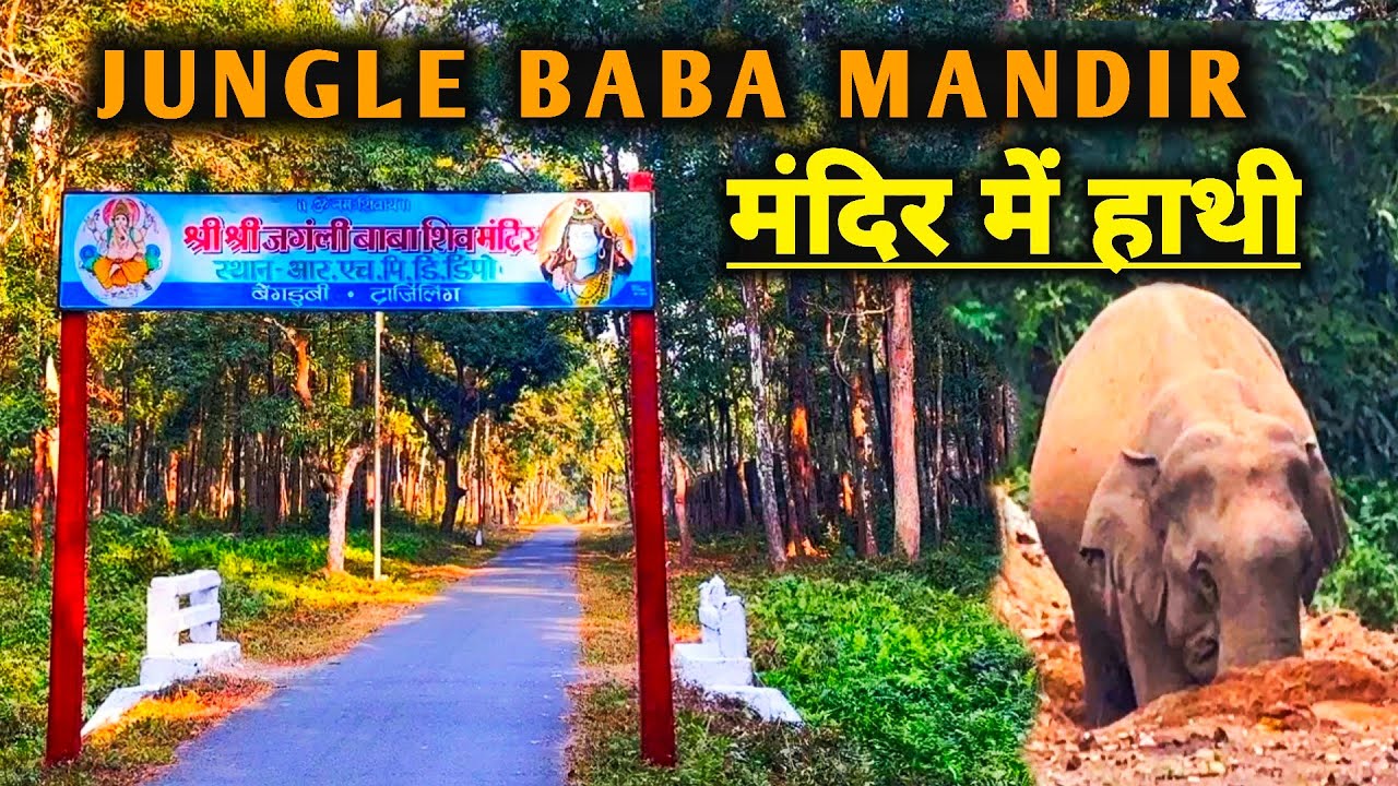 Jungle Baba Mandir | Junglee Baba Mandir Bagdogra | Bengdubi Mandir | Jungli Baba mandir