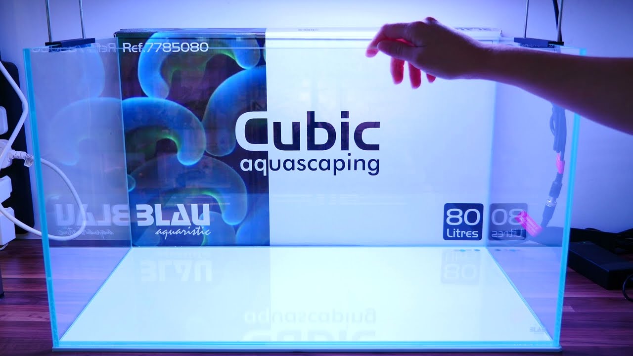У меня новый аквариум, и он выглядит просто потрясающе! 😱💎 Обзор Blau Cubic Aquascaping (не спонс...