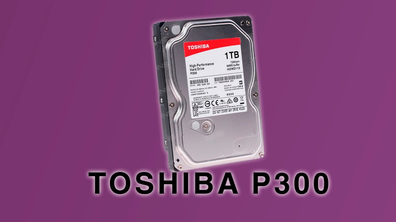 TOSHIBA P300