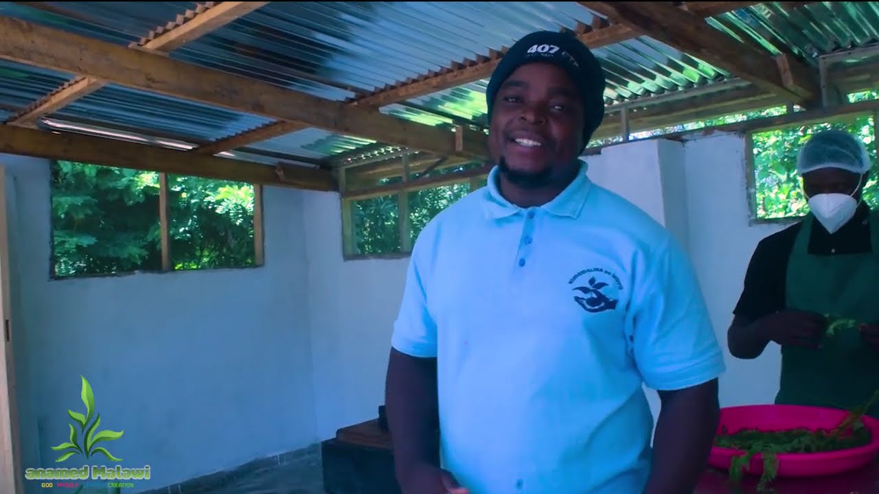 Quality First: How Anamed Malawi processes herbs