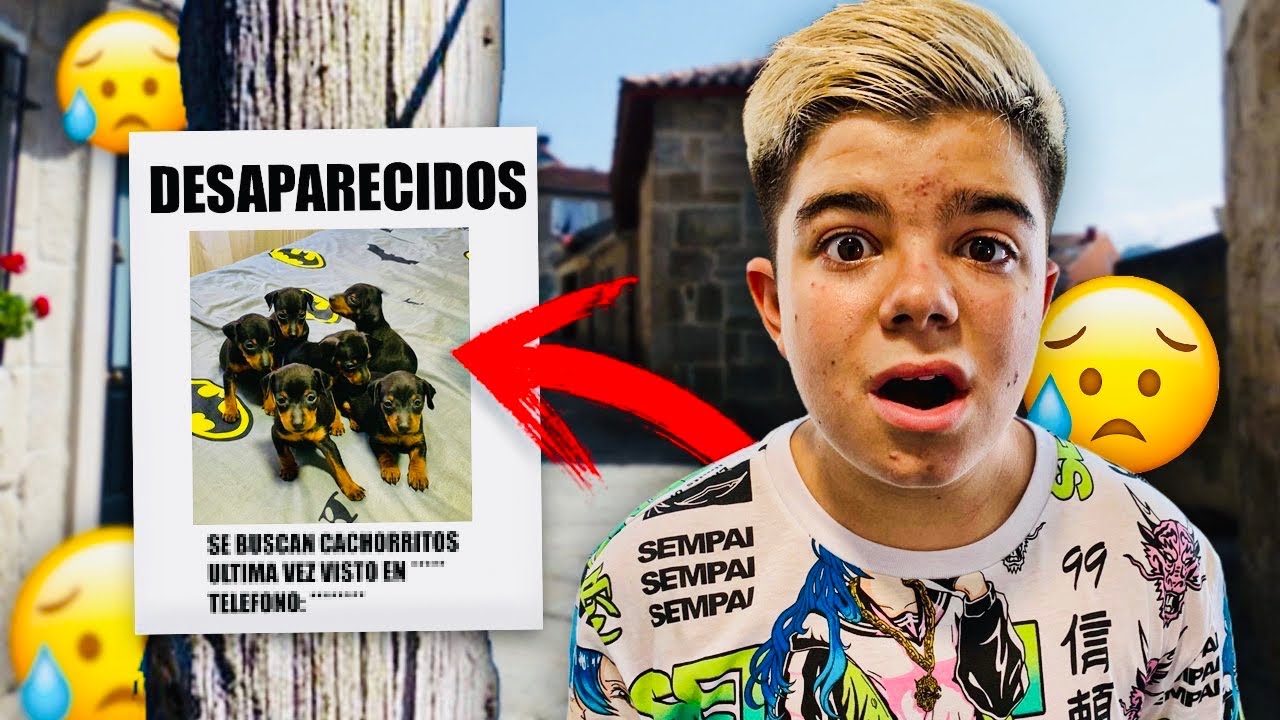 HAN DESAPARECIDO MIS CACHORROS!!!