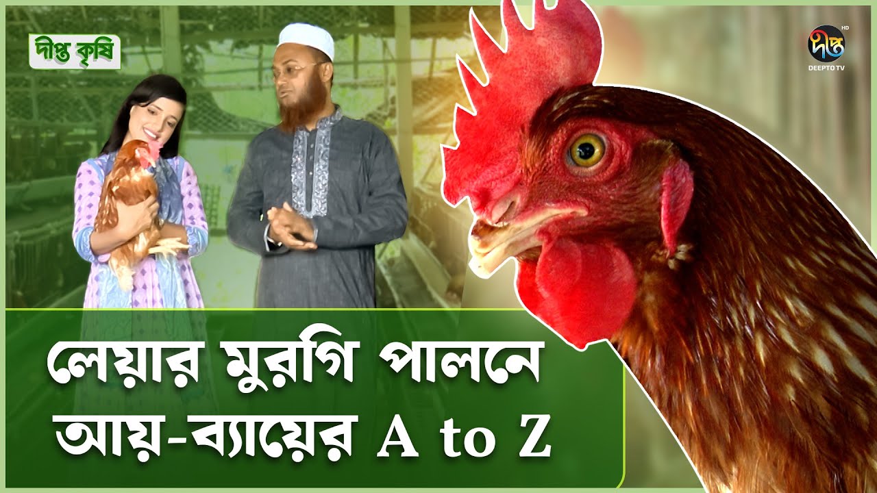 Deepto Krishi |  তাক লাগানো সফল লেয়ার খামারি কায়েস ভাই | Layer Murgi | layer murgi farm | Deepto TV