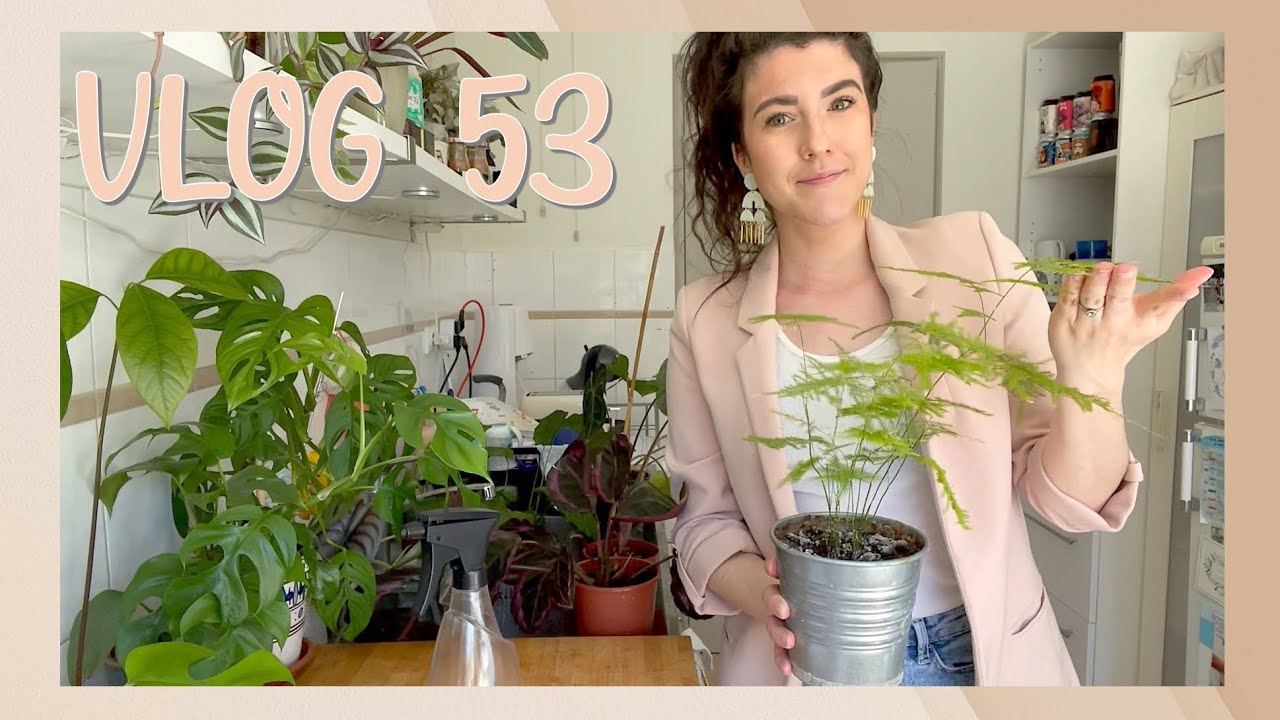 Nouveautés Déco, Lecture Plantes Jeunesse & Arrosage Caladiums - VLOG 53
