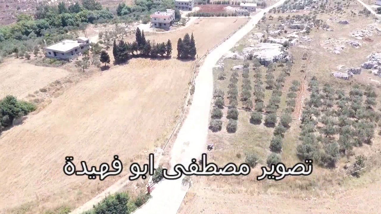 وادي خالد