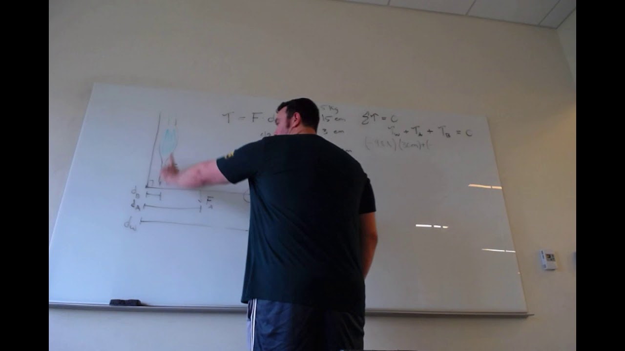 Biomechanics | Elbow/Biceps Torque Problem #2