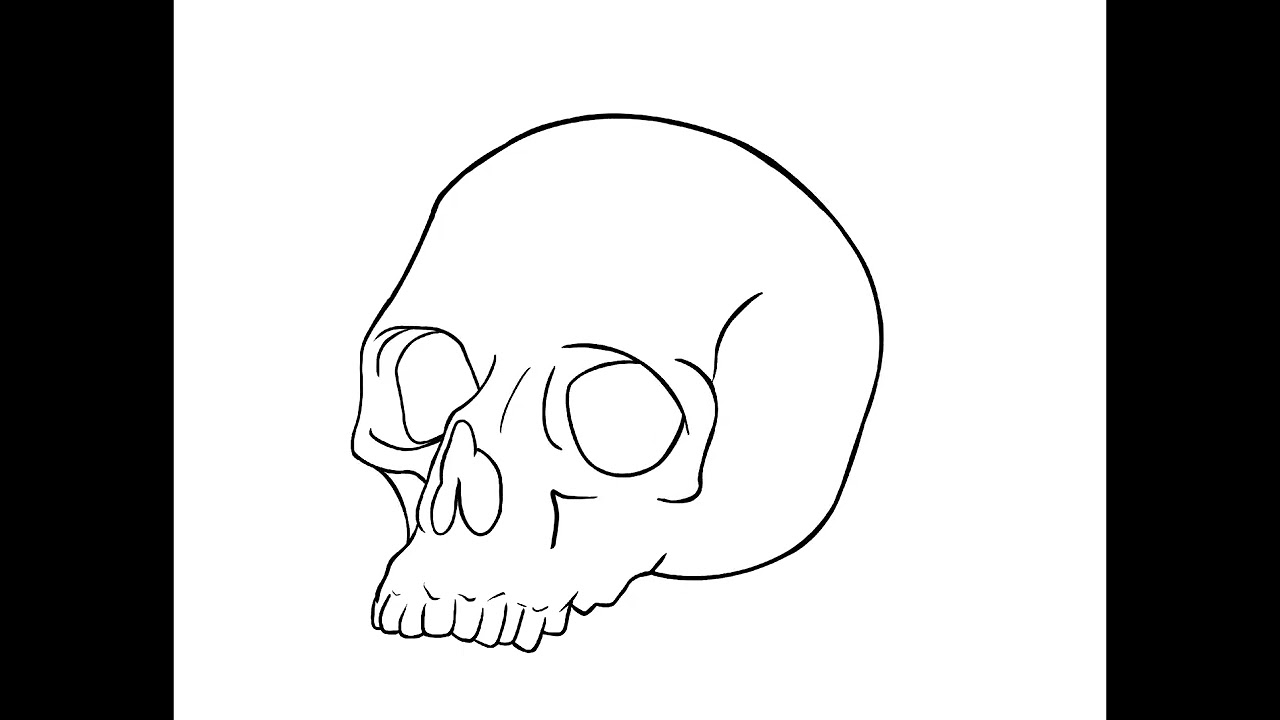Creating Realism Skull with Procreate 