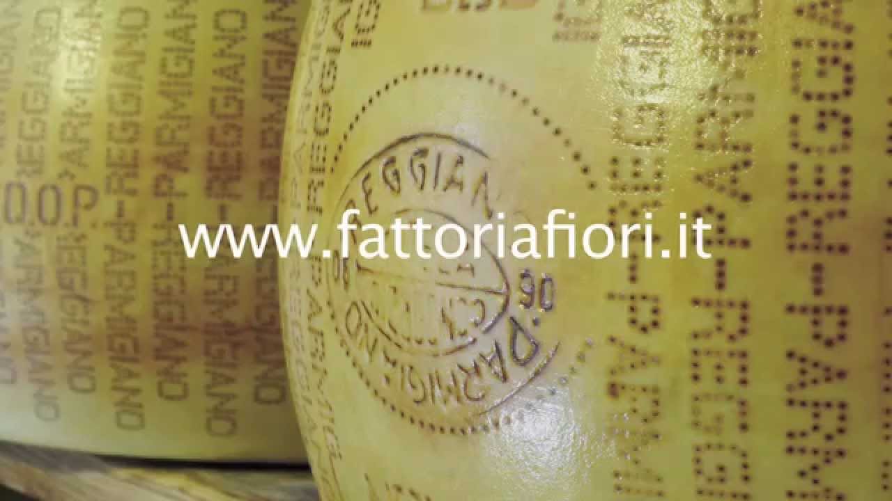 FATTORIA FIORI - NO OGM
