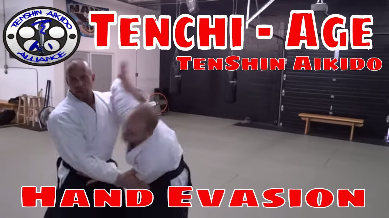 TenShin Aikido Hand Deflection - TENCHI AGE - FREE online class
