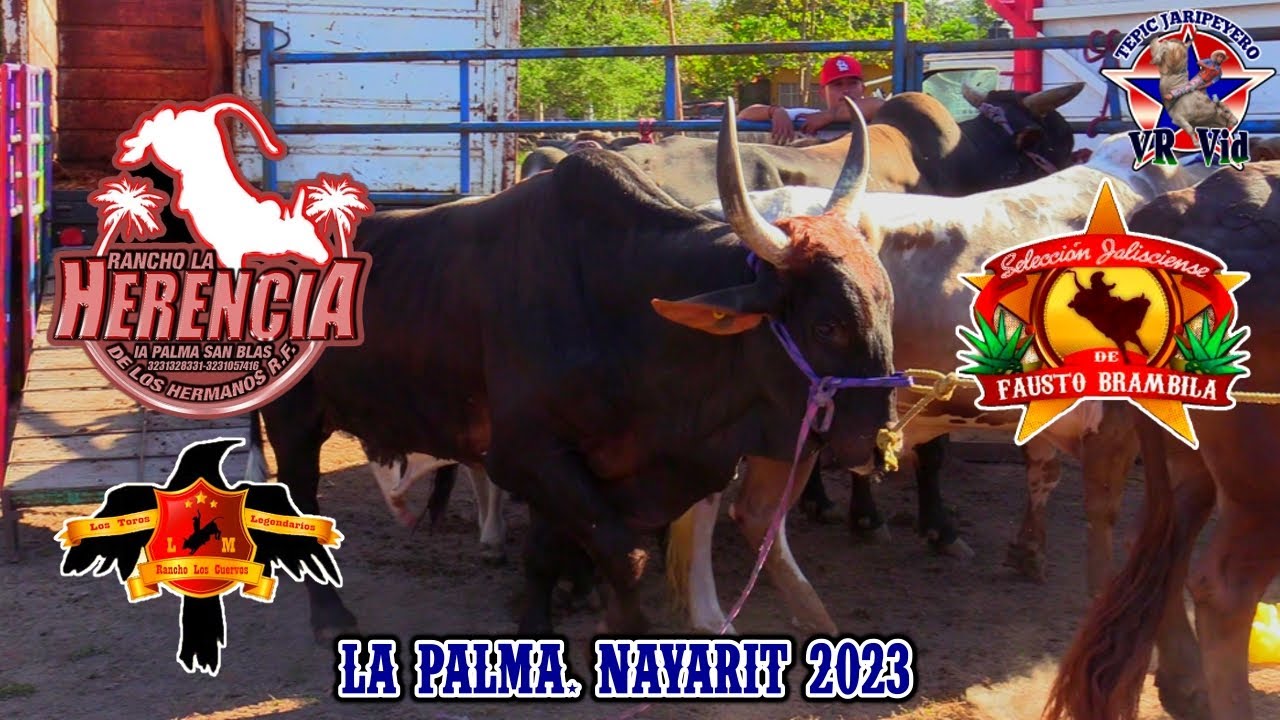 ¡¡¡PURO TORO IMPONENTE!!! RANCHO LA HERENCIA, LOS CUERVOS y SELECCIÓN JALISCIENSE EN LA PALMA 2023