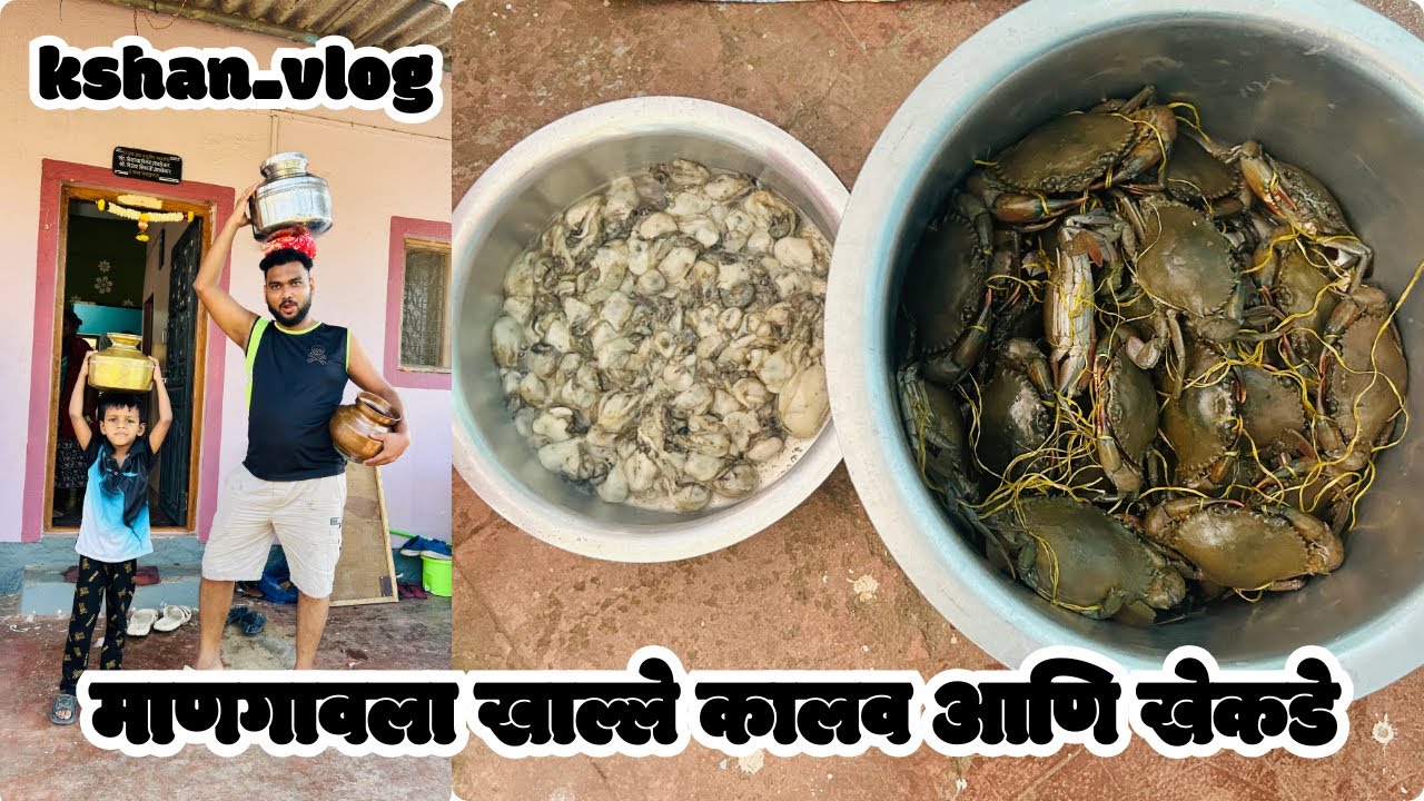 माणगावला खाल्ले कालव आणि खेकडे | crabs | travel vlog | Mangaon | kshan_vlog 