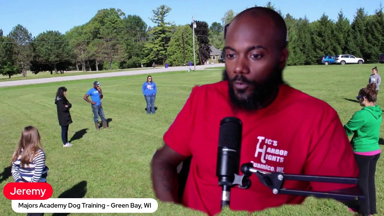 Ask A Professional Dog Trainer!