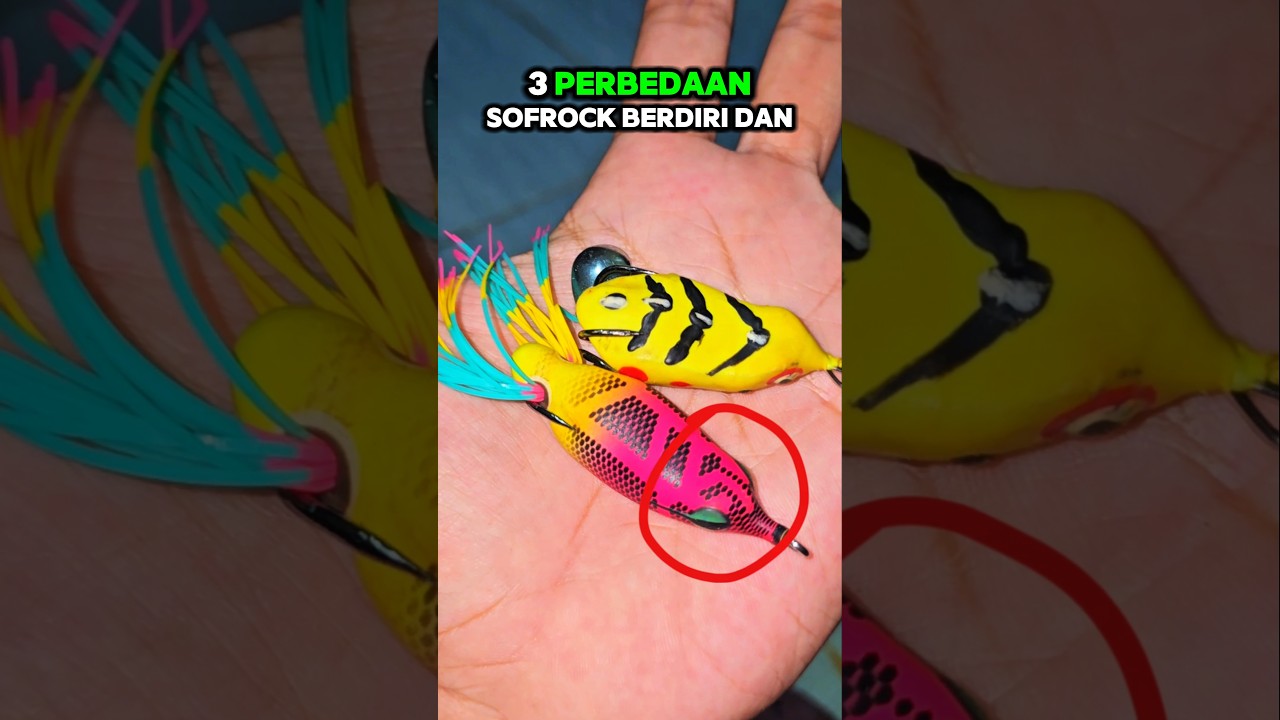 3 PERBEDAAN SOFT FROG KILLER DAN BERDIRI‼️