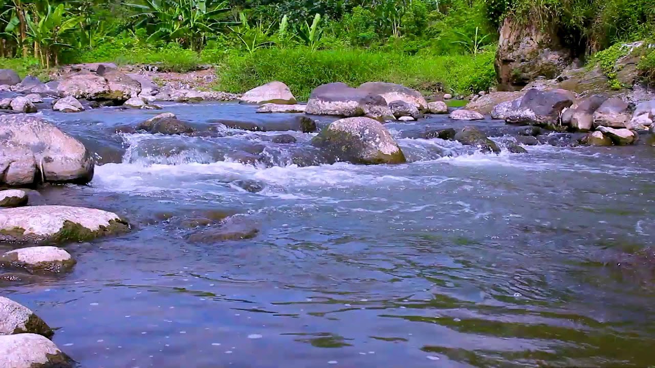 Peaceful Relaxation with Natural Mountain River Flowing Water Sounds