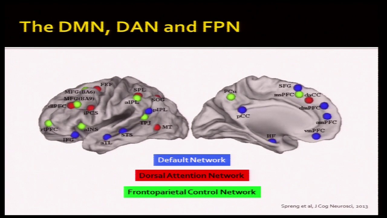 Cognitive Aging Summit III | Dr. Cheryl Grady | Age Differences in the Dynamic Flexibility..