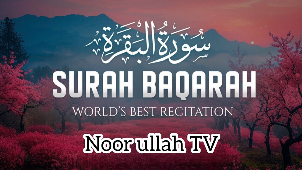 Surah Al-Baqarah Full سورة البقرة | Deep Relaxing Quran Recitation for Stress Relief & Peaceful Mind