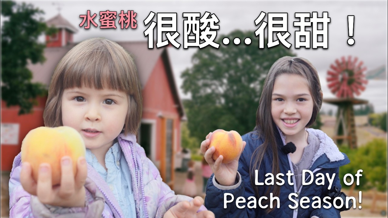 水蜜桃季最後一天：七姐妹能搶到足夠桃子讓Adeline的水蜜桃夢成真嗎？Final Day of Peach Season: Will Adeline's Peach Dream Come True?