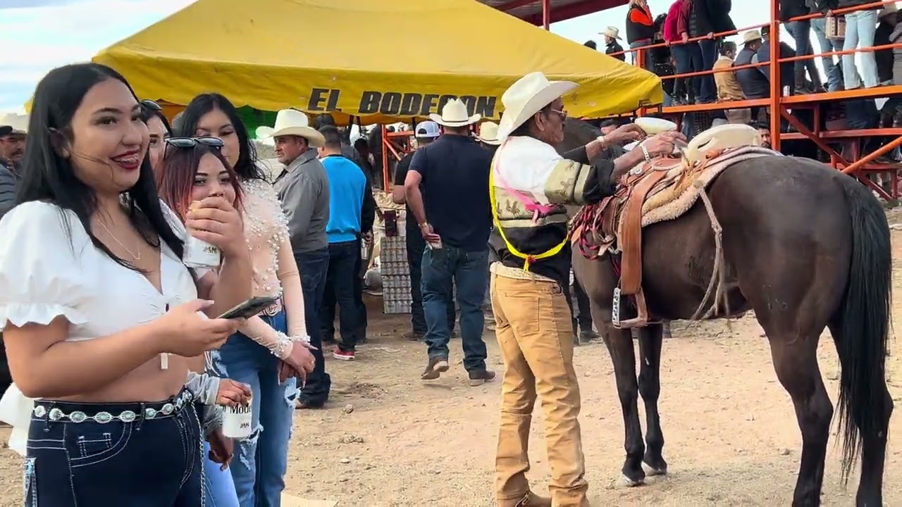 El Nono y su banda Reyna de jerez. Lienzo carro el sauz de los marques