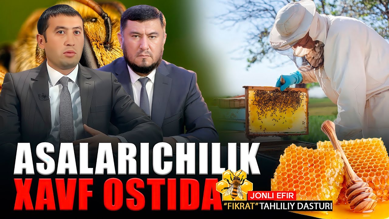 🔴Asalarichilik xavf ostida #fikratuz
