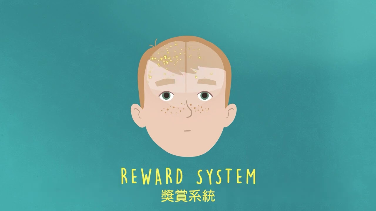 童年創傷與大腦的關聯 | UK Trauma Council