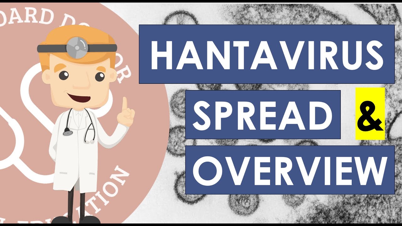 Hantavirus Basics - Cases, Reservoir, Transmission, Incubation, Symptoms, Prevent | Public Health