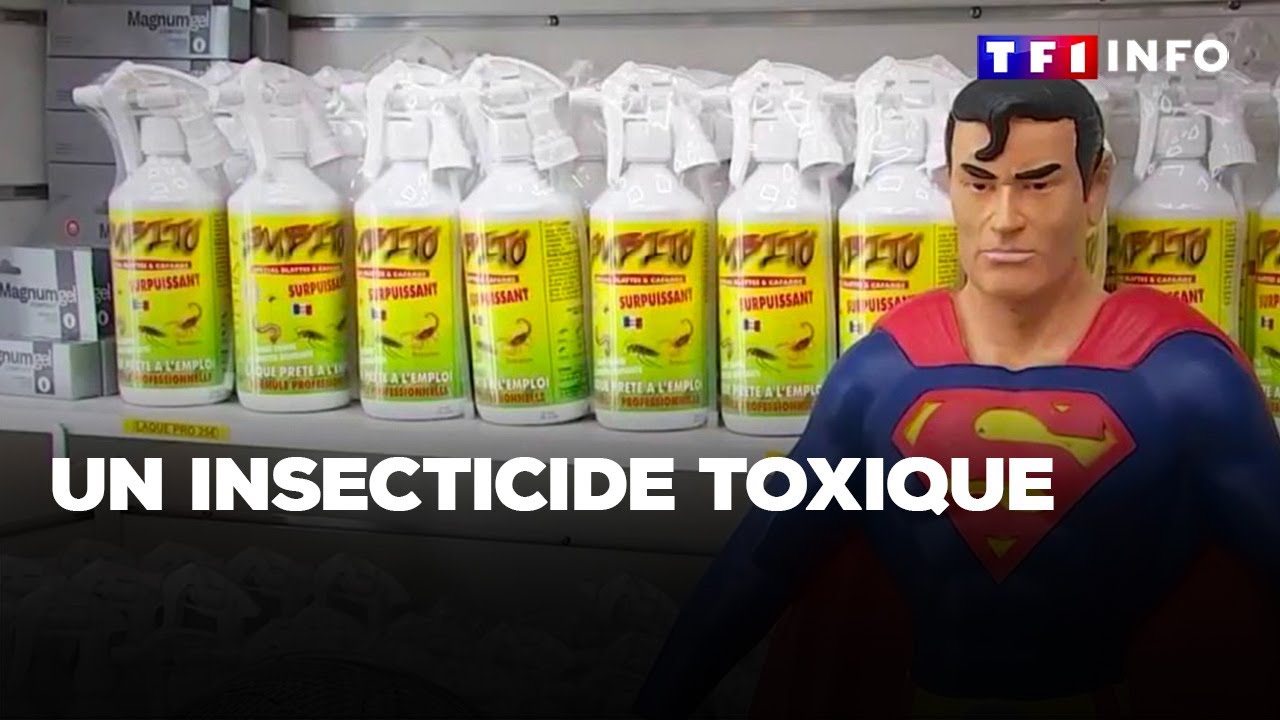 Contre les cafards et les punaises, un insecticide toxique｜TF1 INFO