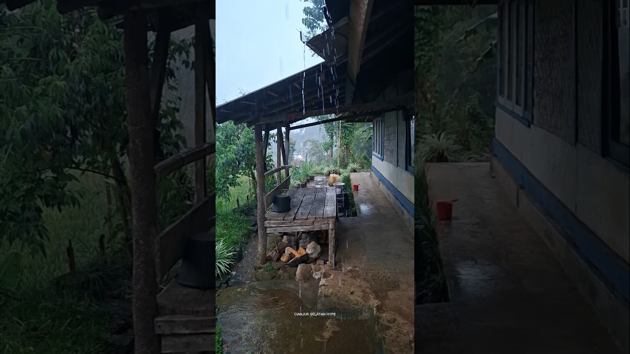 The rain is relentless, so I can't go anywhere 🌧🌧 #rain #asmrsounds