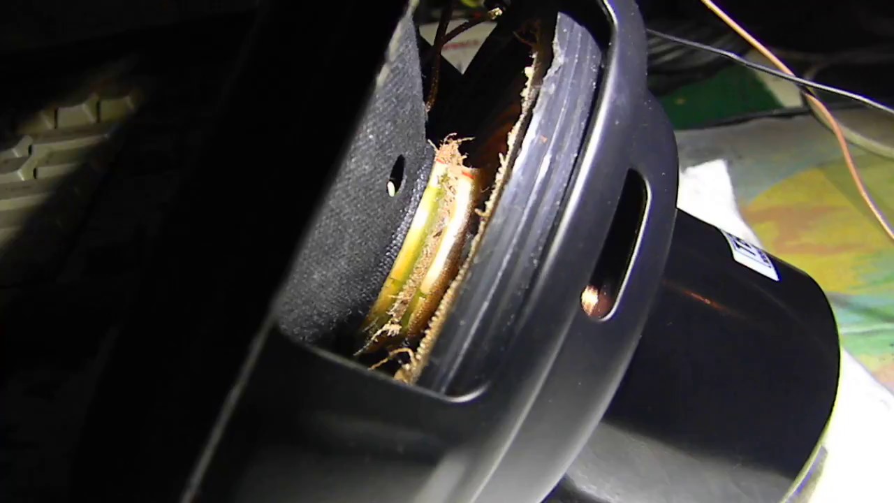 Dropping A Spider On My Tang Band W5-1138SM