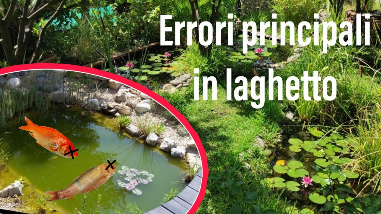 i principali ERRORI che si fanno in un LAGHETTO - come avere un laghetto in equilibrio