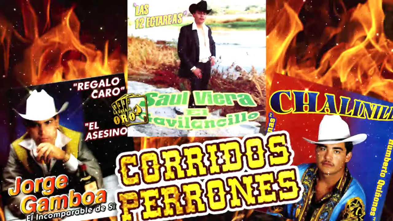 Jorge Gamboa, Leonel El Ranchero, Saul Viera, El Chalinillo - CORRIDOS PERRONES MIX 2024