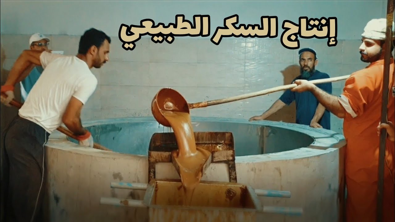 إنتاج السكر الطبيعي المستخلص من قصب السكر بولاية بهلاء