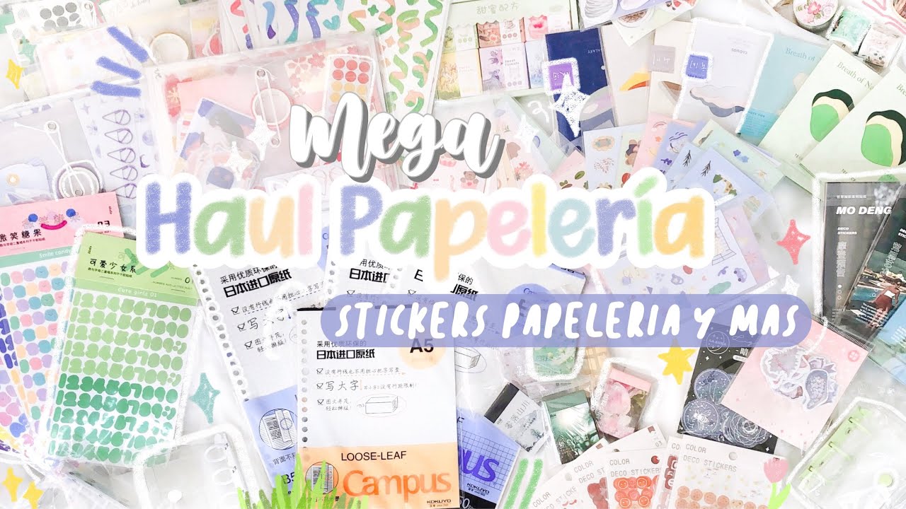 Haul chido de papelería que te puede gustar📓✨ | Stickers, washis etc🤌🏻 ft. JIANWU STORE