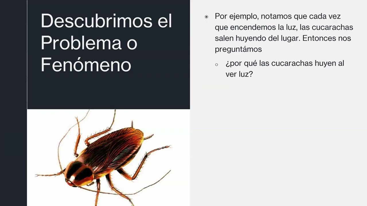 Diseño Experimental