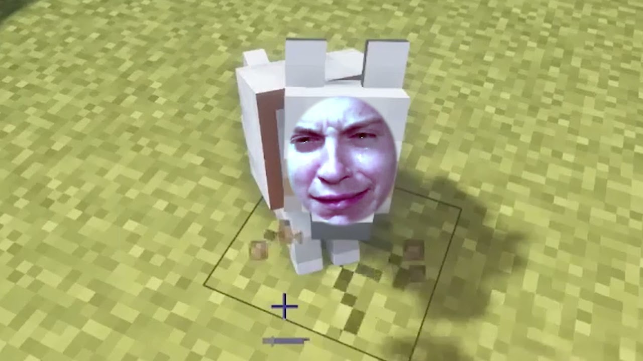 Toqtir, ClumsyKitty MINECRAFT'TA KÖPEK KAVGASI