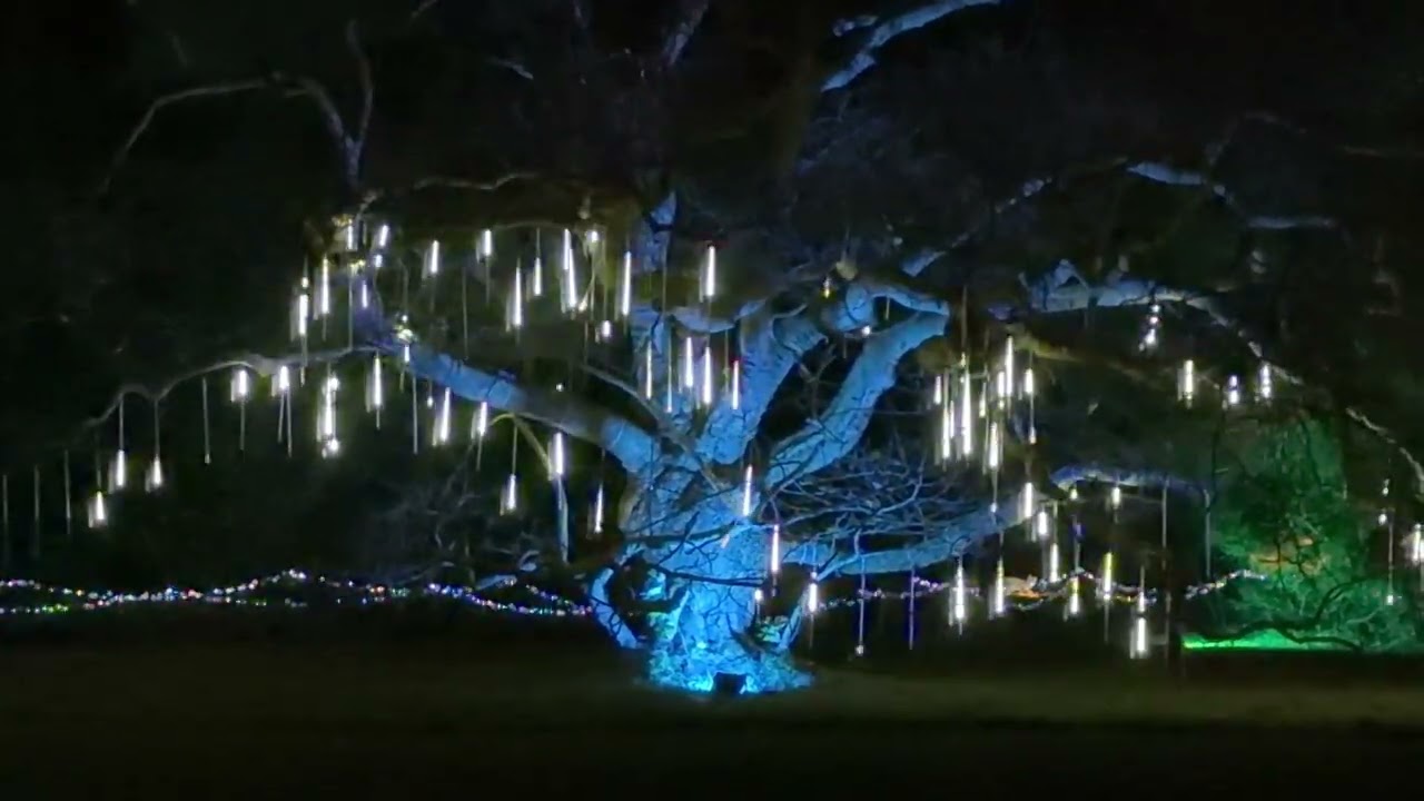 Blickling hall festive lights , December 2025