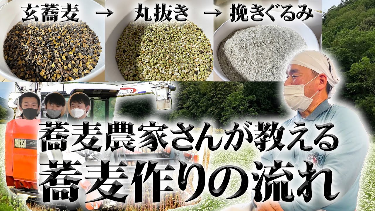 【愛別町農業丸わかり】インタビュー編 / 愛別町職員の乙竹マンと廣富マン、サトカンマンが、株式会社 愛（めぐみ）で蕎麦農家の中井さんに蕎麦作りの流れやこだわりを教えていただきました！