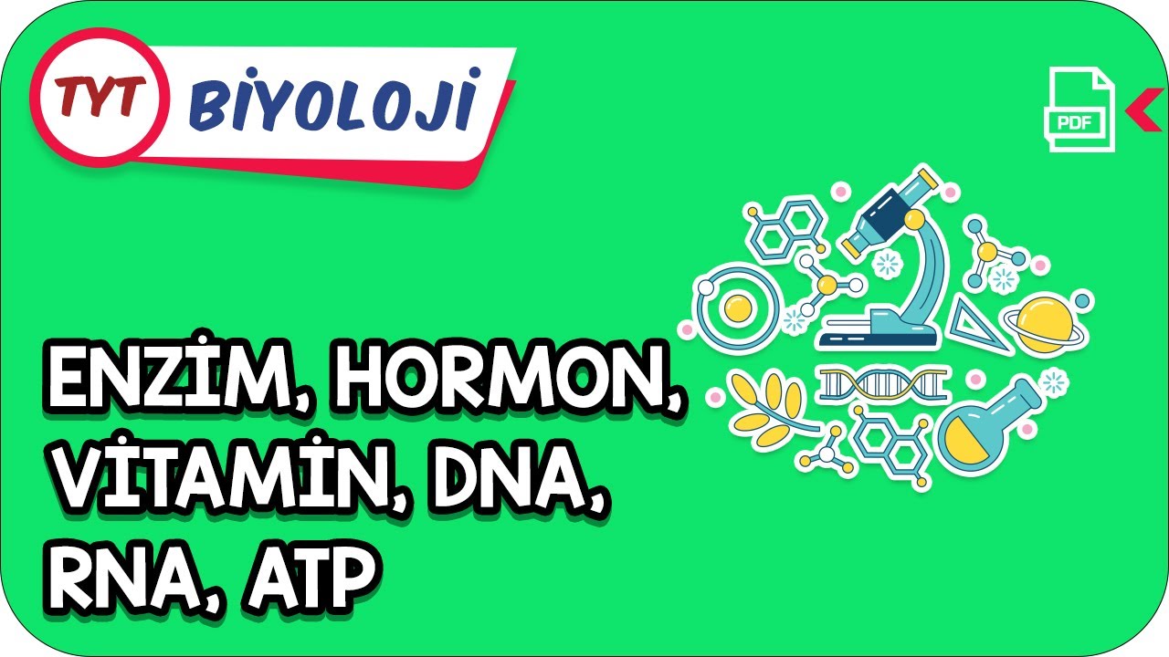 Enzim, Hormon, Vitamin, DNA, RNA, ATP | Kamp2021    #YazKampı