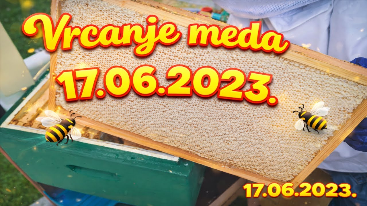 Vrcanje prolećnog cvetnog meda 🍯 Prvi med 2023  #pcelarstvo #pčelarstvo #bees #bienen #honey