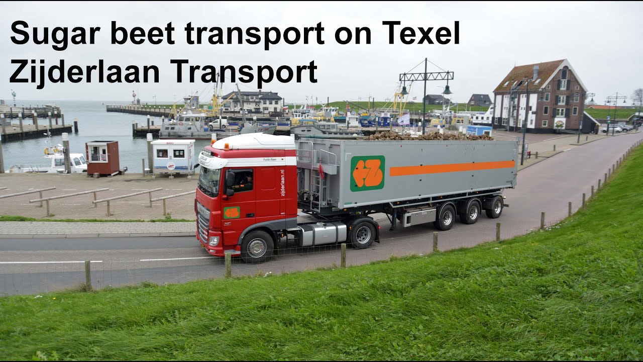 Sugar Beet transport on Texel