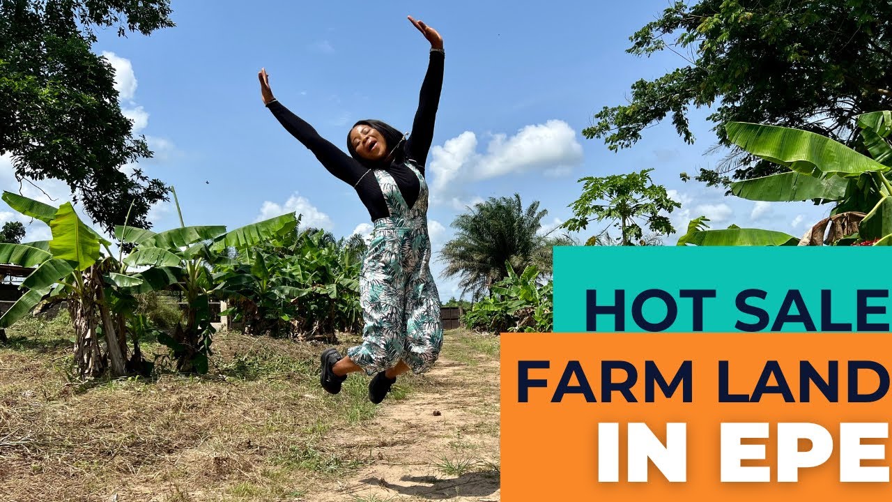 Farm land for sale in Epe / Dry and stable farm land in Epe Lagos with approved agricultural layout