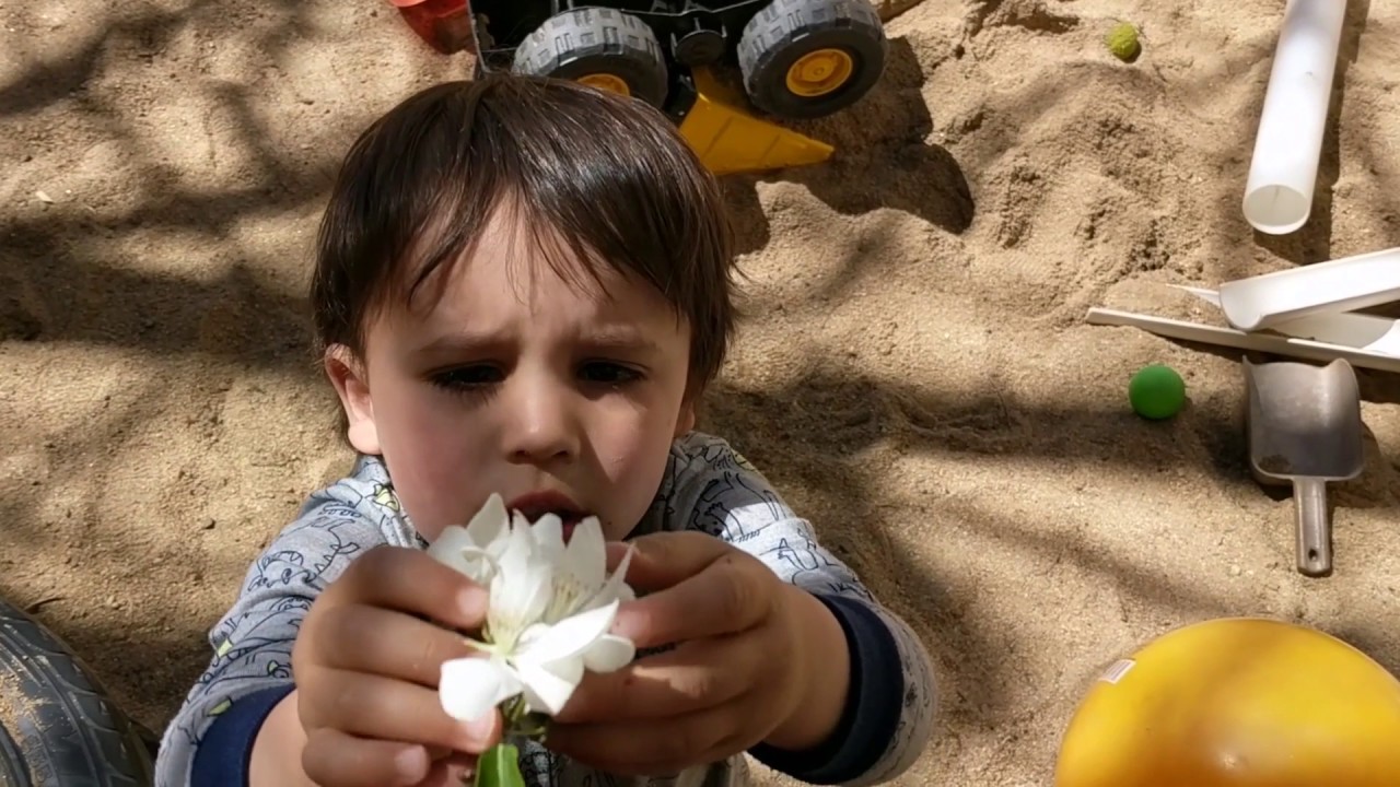 Fear Less: Our Hope for Children
