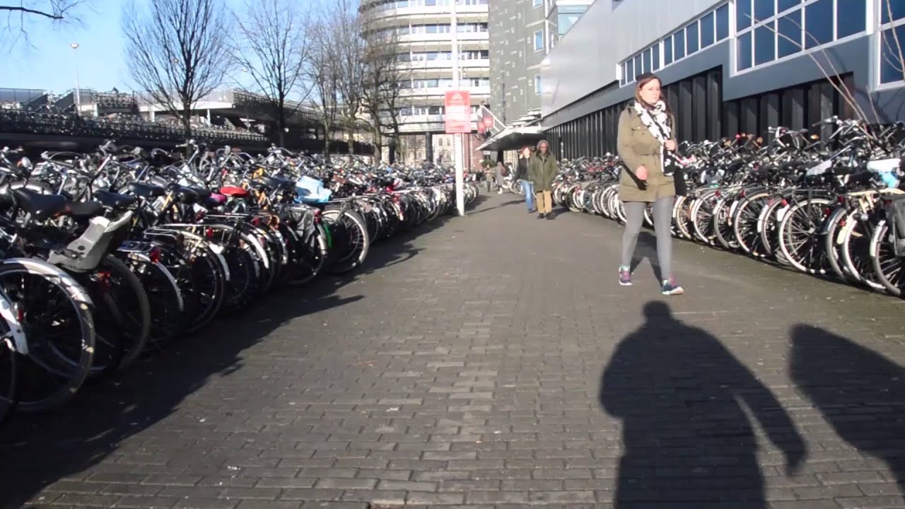 Outdoors bicycle parking Amsterdam Central Station | Travel