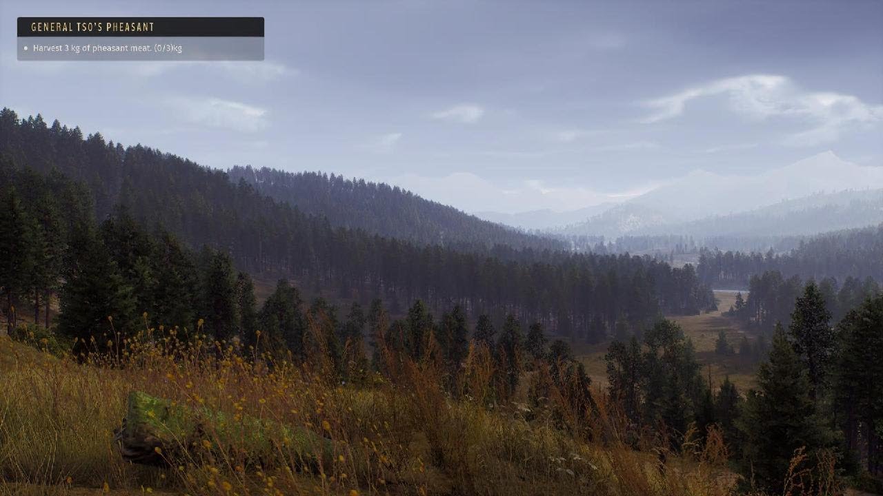Way of the Hunter  Ambient natural Relax 🌿