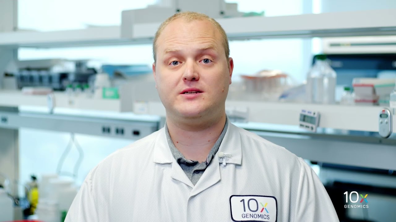 Single Cell Immune Profiling HT Protocol v2 | cDNA Cleanup SPRIselect