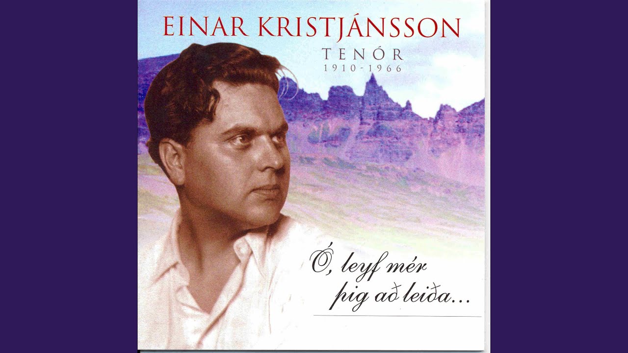 Í dag skein sól