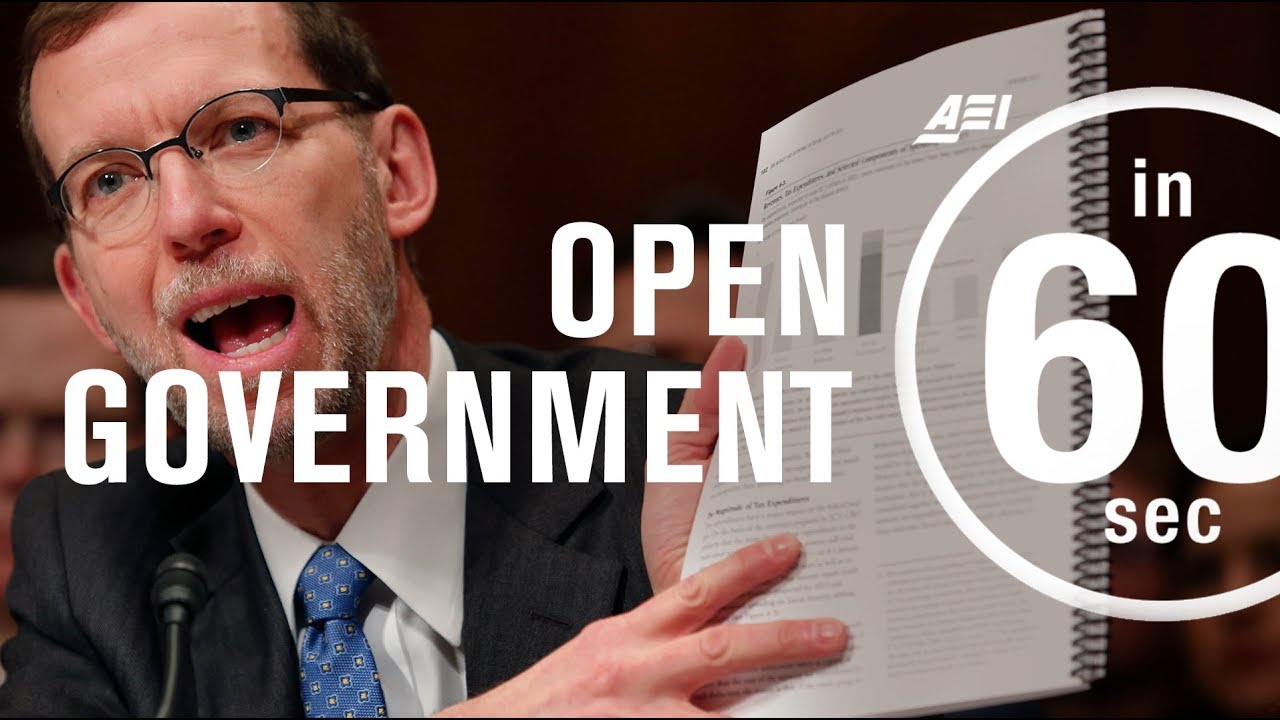 Open government: Why transparency matters for public policy analysis | IN 60 SECONDS