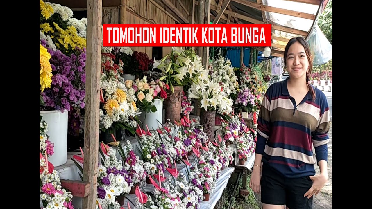 Menjelang Natal 2025 | Manado ke Tomohon singgah melihat penjual bunga, ramai pusat Kota Tomohon