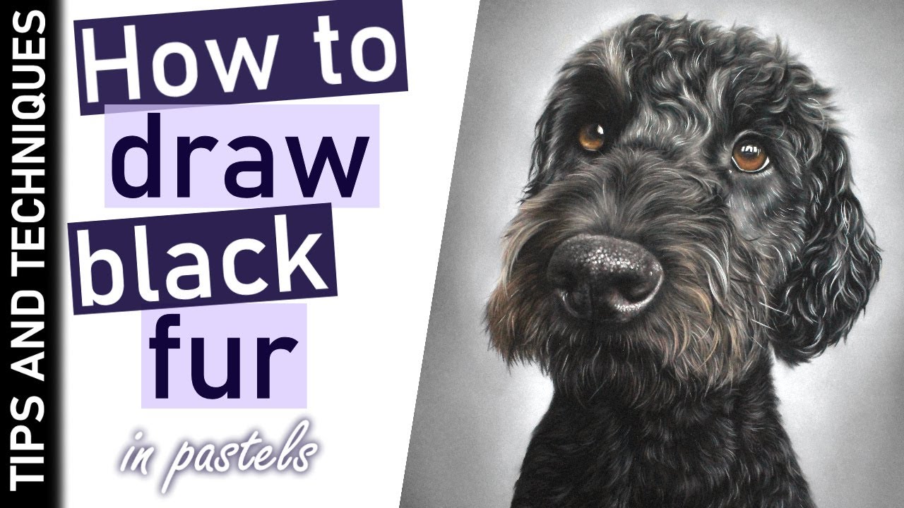 How to draw black fur in pastels | Drawing a Labradoodle