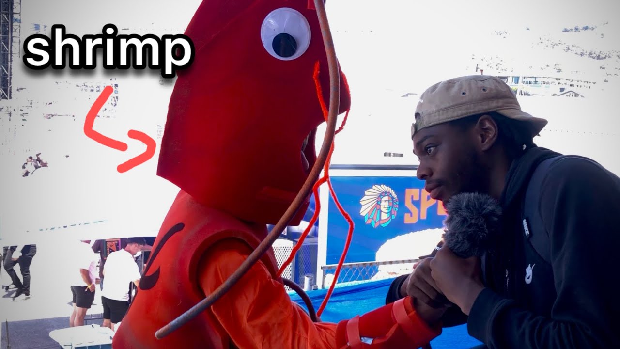 I interviewed Ppl at the Redbull Flugtag